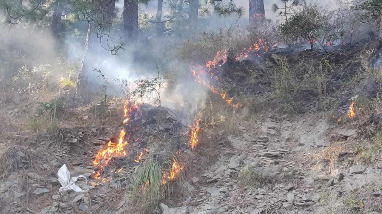 चंबा के तीसा-खाखडी़-बुईण मार्ग पर पाराली से लदे ट्रक में लगी आग को बुझाते लोग।स्त्रोत:संवाद सहय