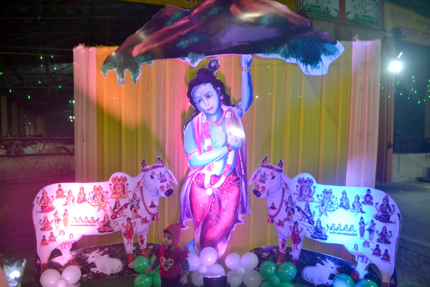 शामली में बडी गौशाला में   गोबर से सजाये गये  गोवर्धन जी महाराज