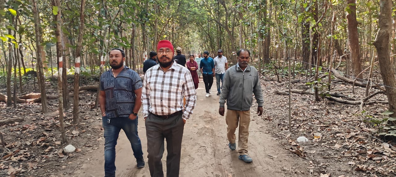 जंगल सफारी के मार्ग किनारे नहर में घूमता बाघ । स्रोत - वीडियो ग्रैब