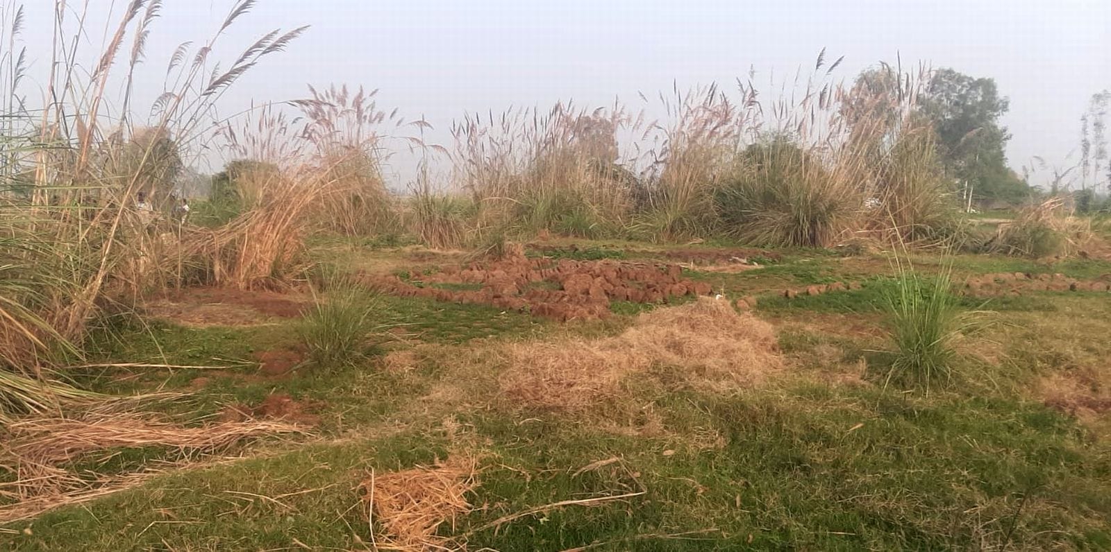 रसूलपुर बेला में खेल मैदान की स्थिति। संवाद