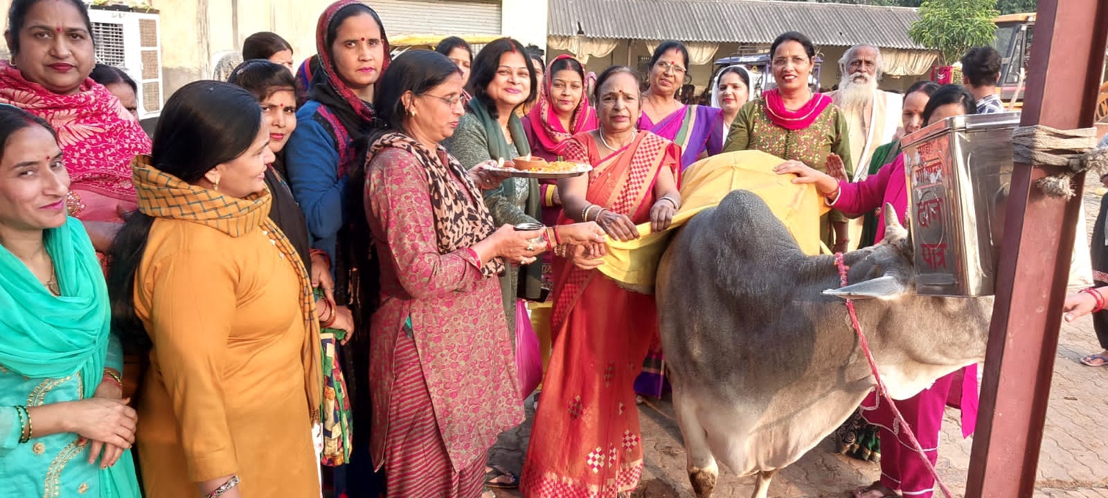 शामली गौशाला में गोपाष्टमी पर गौ माता को चारा व फल खिलाती महिलाएं शामली गौशाला में गोपाष्टमी पर गौ माता को चारा व फल खिलाती महिलाएं
