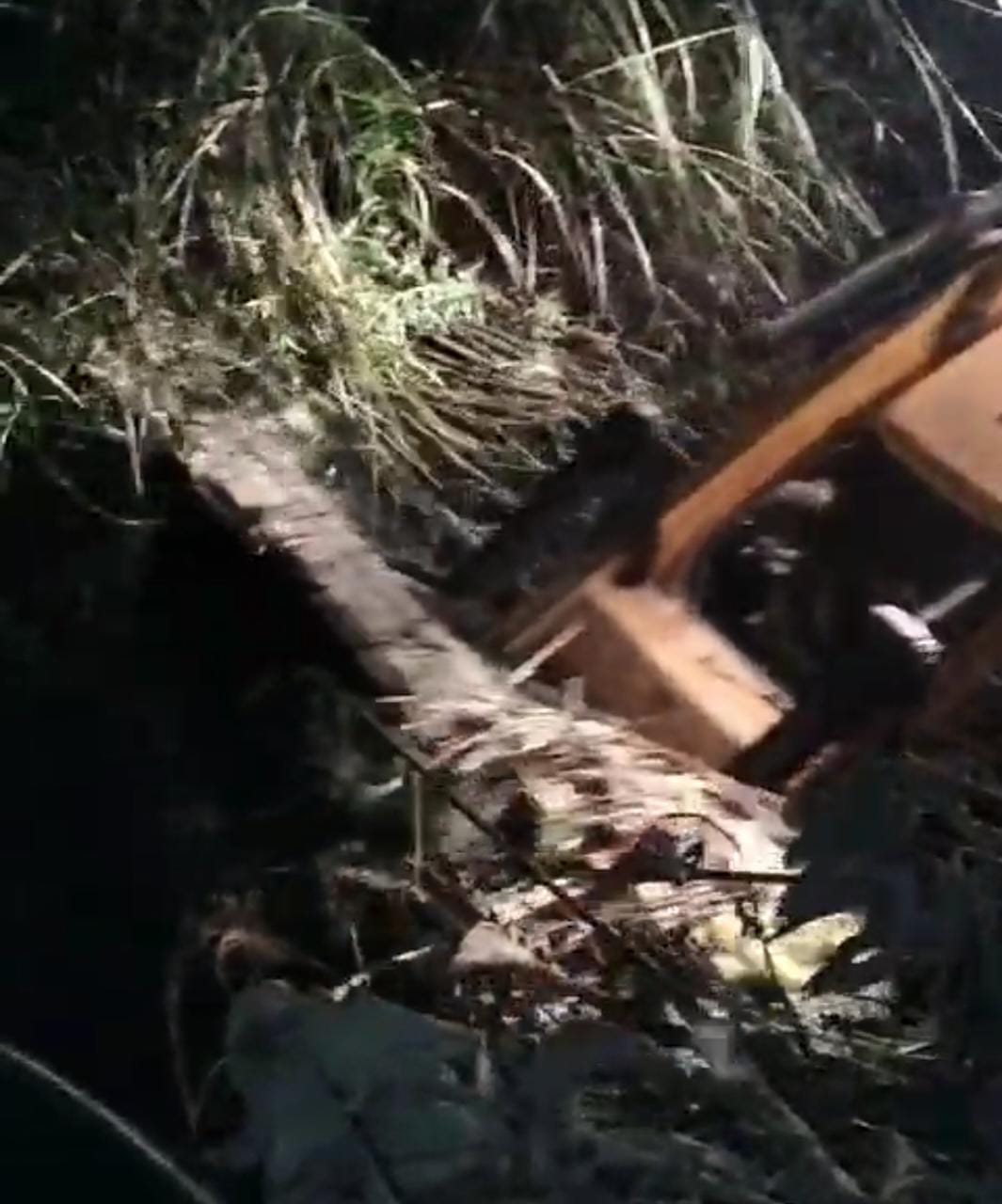 शाहगढ़ माइनर में घास साफ करने को लगाइ्र आग । स्रोत - किसान