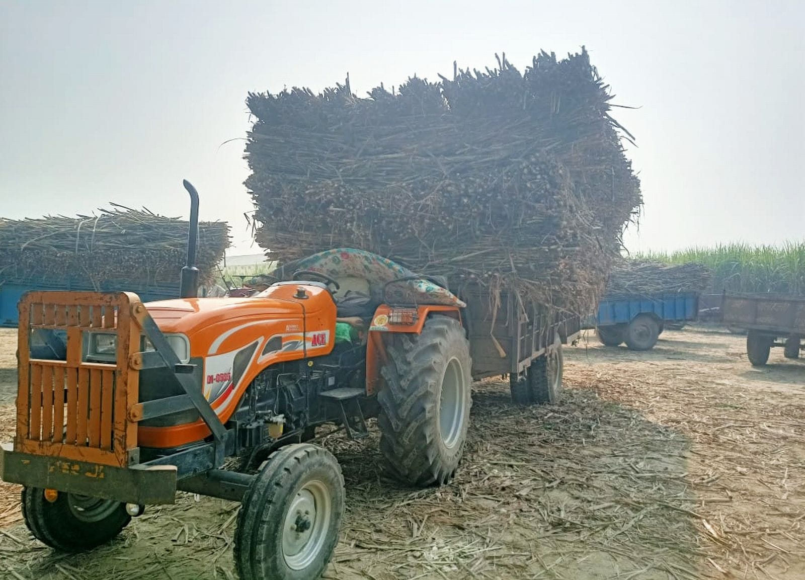 ग्राम वेला रायपुर का गन्ना सेंटर। संवाद