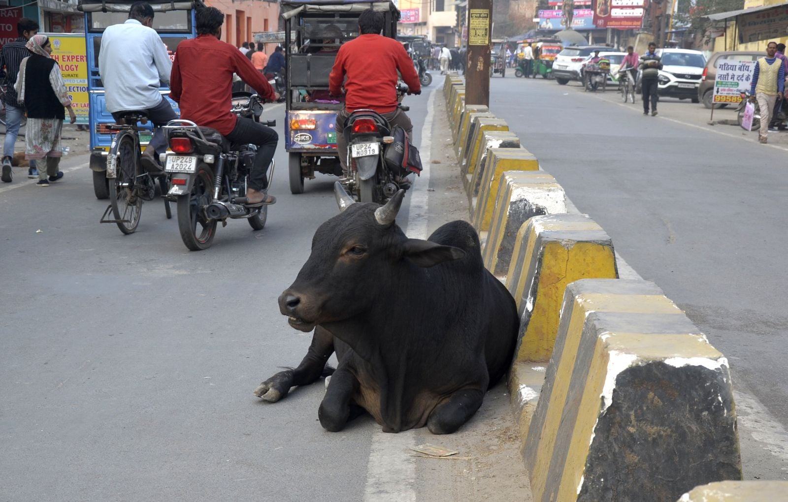बाजार में छुट्टा सांड। संवाद