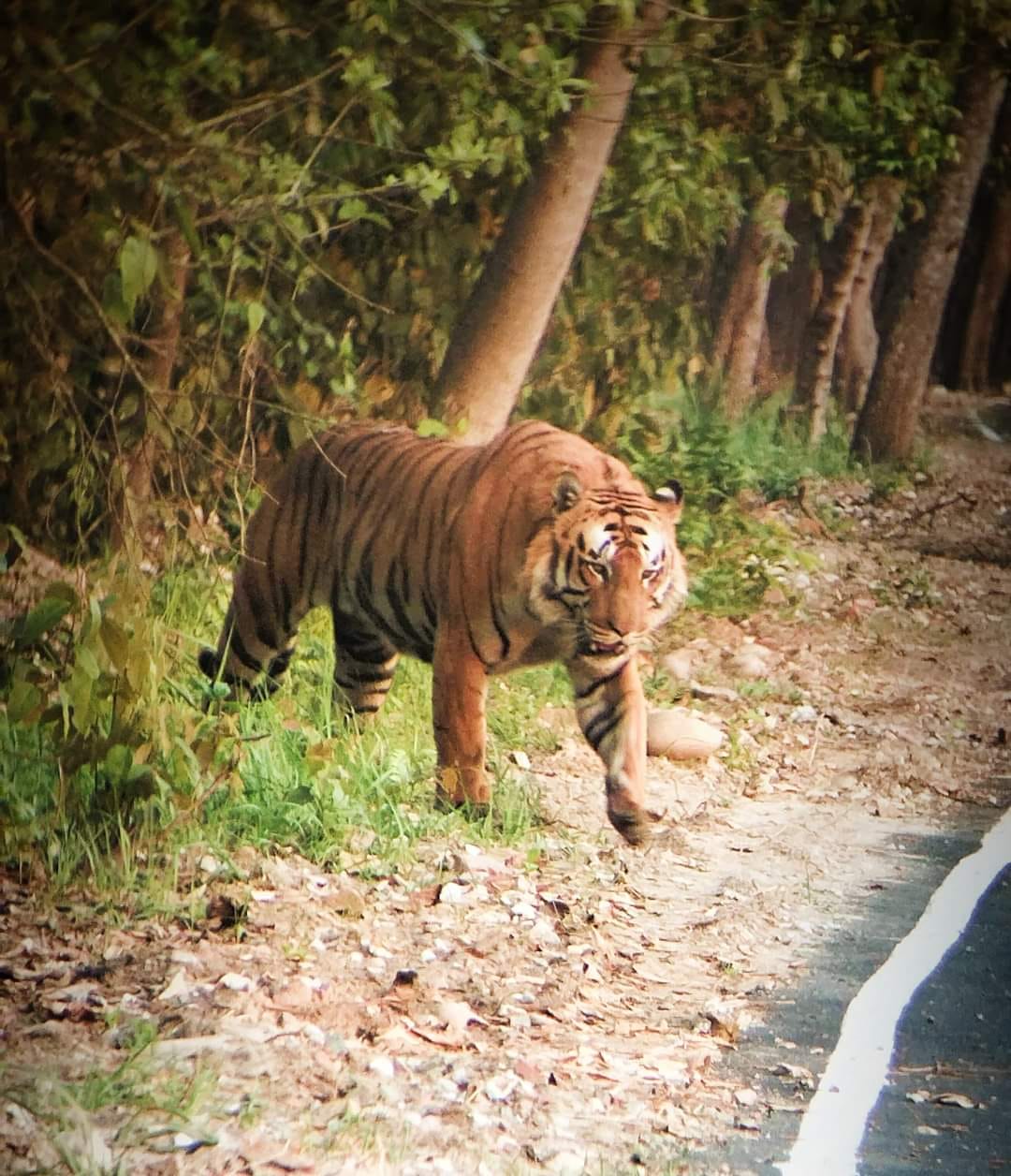 चूका बीच में बनी वाटर हट । संवाद