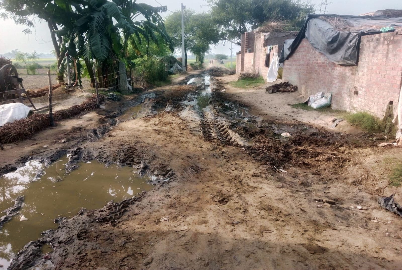 मधू देवी ।फाइल फोटो।(डेंगू की खबर के साथ)