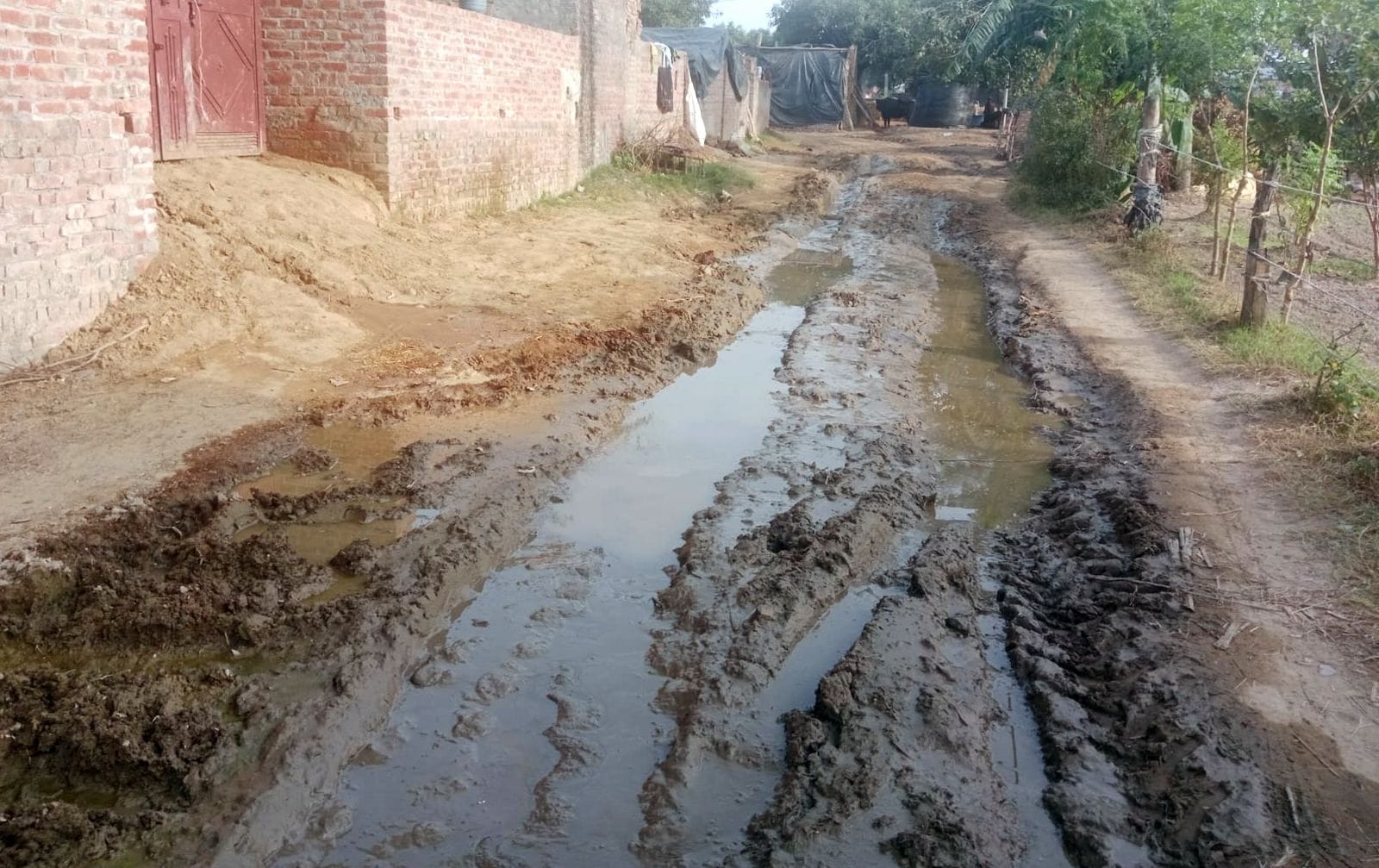 मधू देवी ।फाइल फोटो।(डेंगू की खबर के साथ)