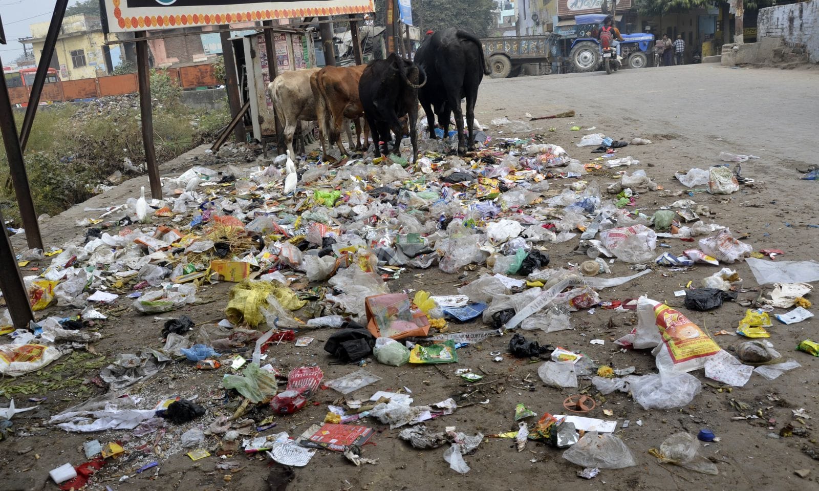 वन विभाग रोड पर टूटी पड़ी सड़क। संवाद