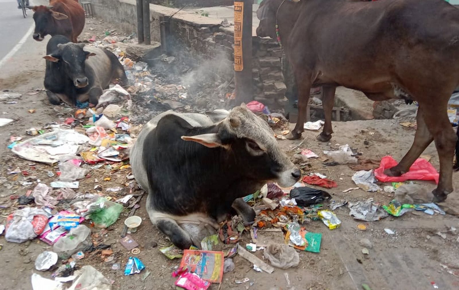 वन विभाग रोड पर टूटी पड़ी सड़क। संवाद