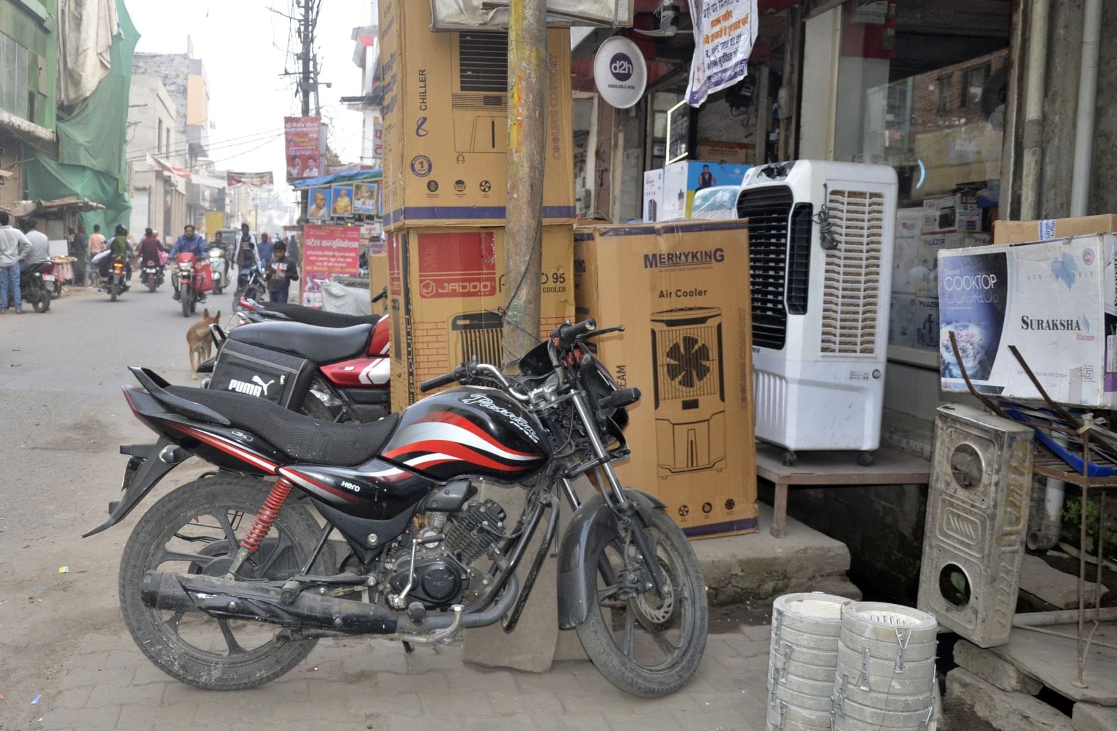 वन विभाग रोड पर टूटी पड़ी सड़क। संवाद