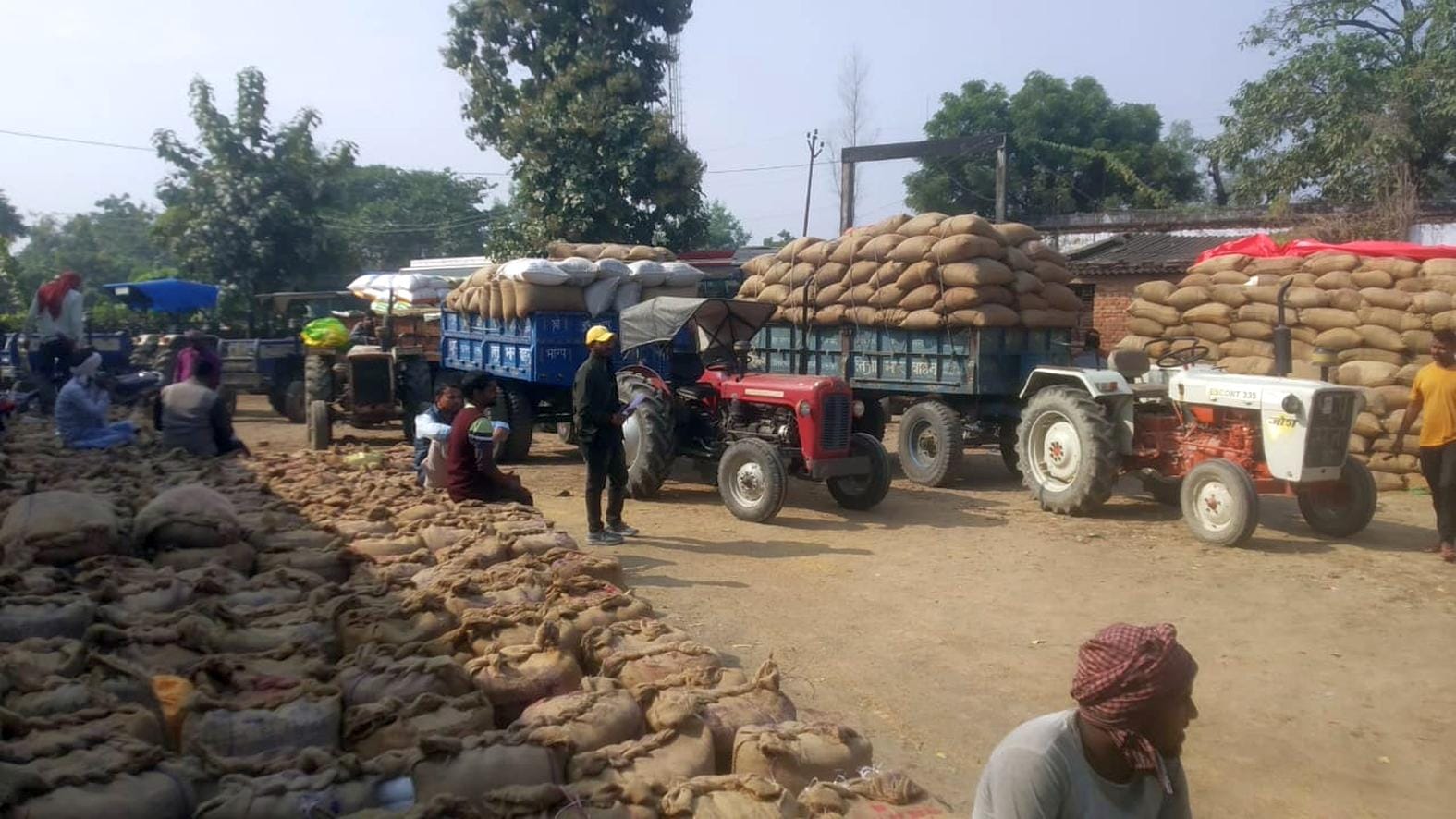 बसखारी स्थित क्रय केंद्र पर तौल के लिए खड़ी धान लदी ट्रालियां।  -संवाद