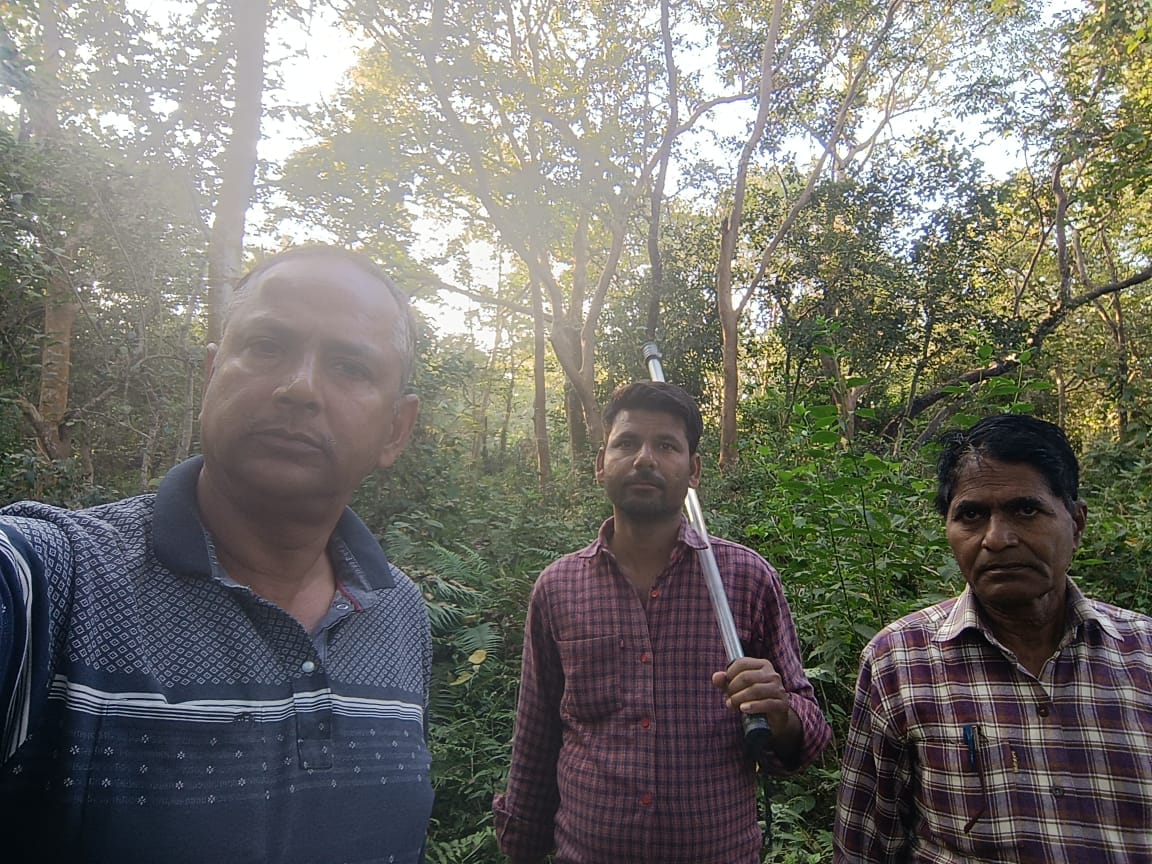 हाथियो के पैरो के निशान । स्रोत - टीम