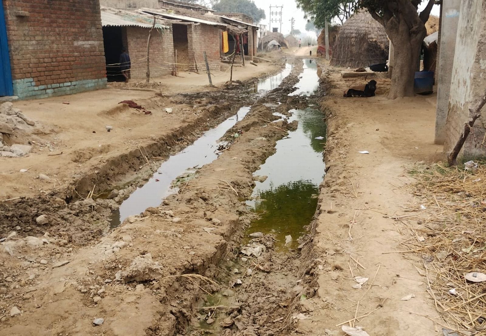गंगा एक्सप्रेस-वे के वाहनों से खराब हुई गौटिया रामनारायण गांव की सड़क। संवाद
