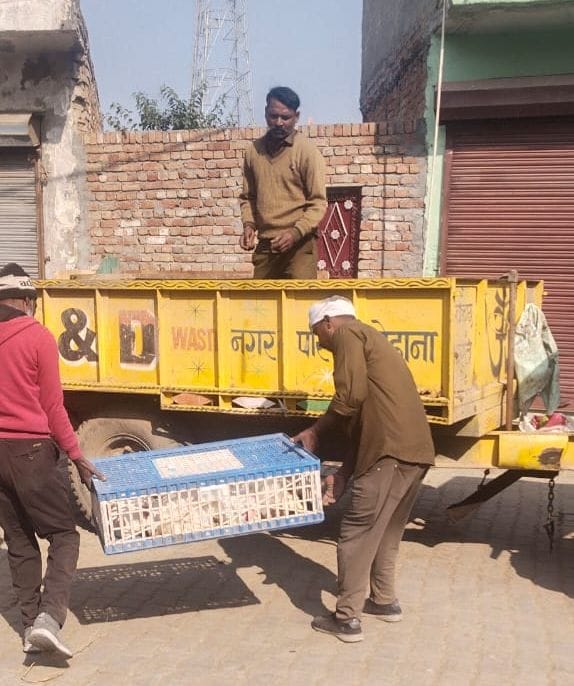 फोटो 35- सोनीपत के गोहाना स्थित देवीपुरा में मीट की दुकानों को बंद करके सामान जब्त करते नप के फोटो 35- सोनीपत के गोहाना स्थित देवीपुरा में मीट की दुकानों को बंद करके सामान जब्त करते नप के