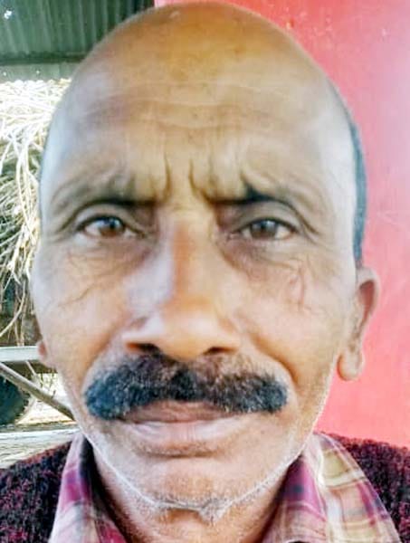 सहकारी चीनी मिल करनापुर में पेराई बंद होने से यार्ड में गन्ने भरी खड़ी ट्रैक्टर ट्रालियां। संवा