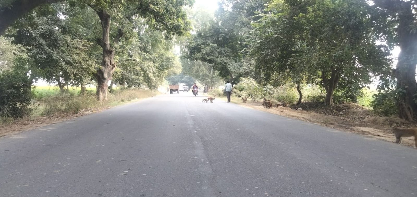 बदायूं से कादरचौक रोड पर सेंटर और ऐज लाइन नहीं है।