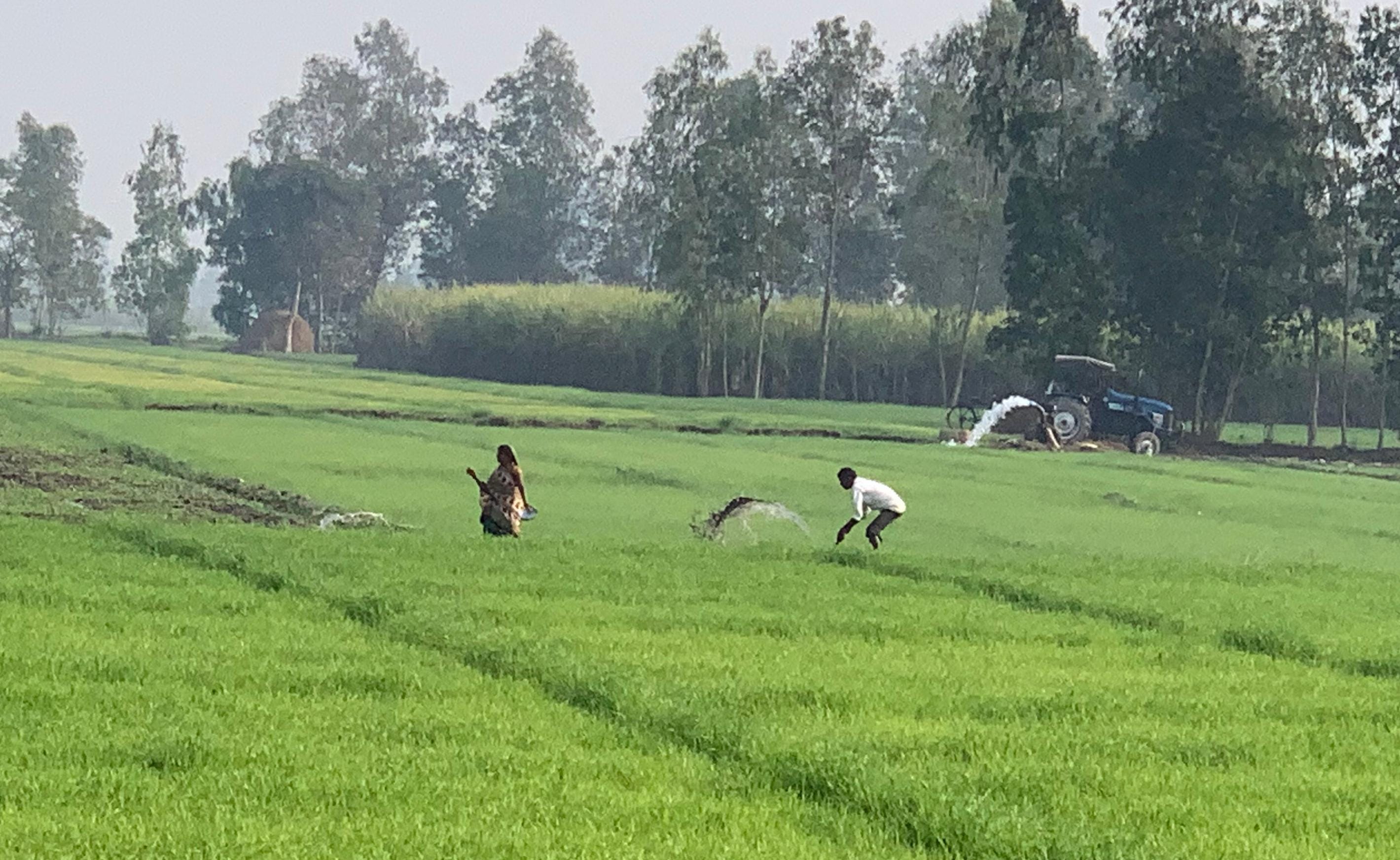 खेत में इंजन से चलते पानी को फैलाता किसान । संवाद खेत में इंजन से चलते पानी को फैलाता किसान । संवाद