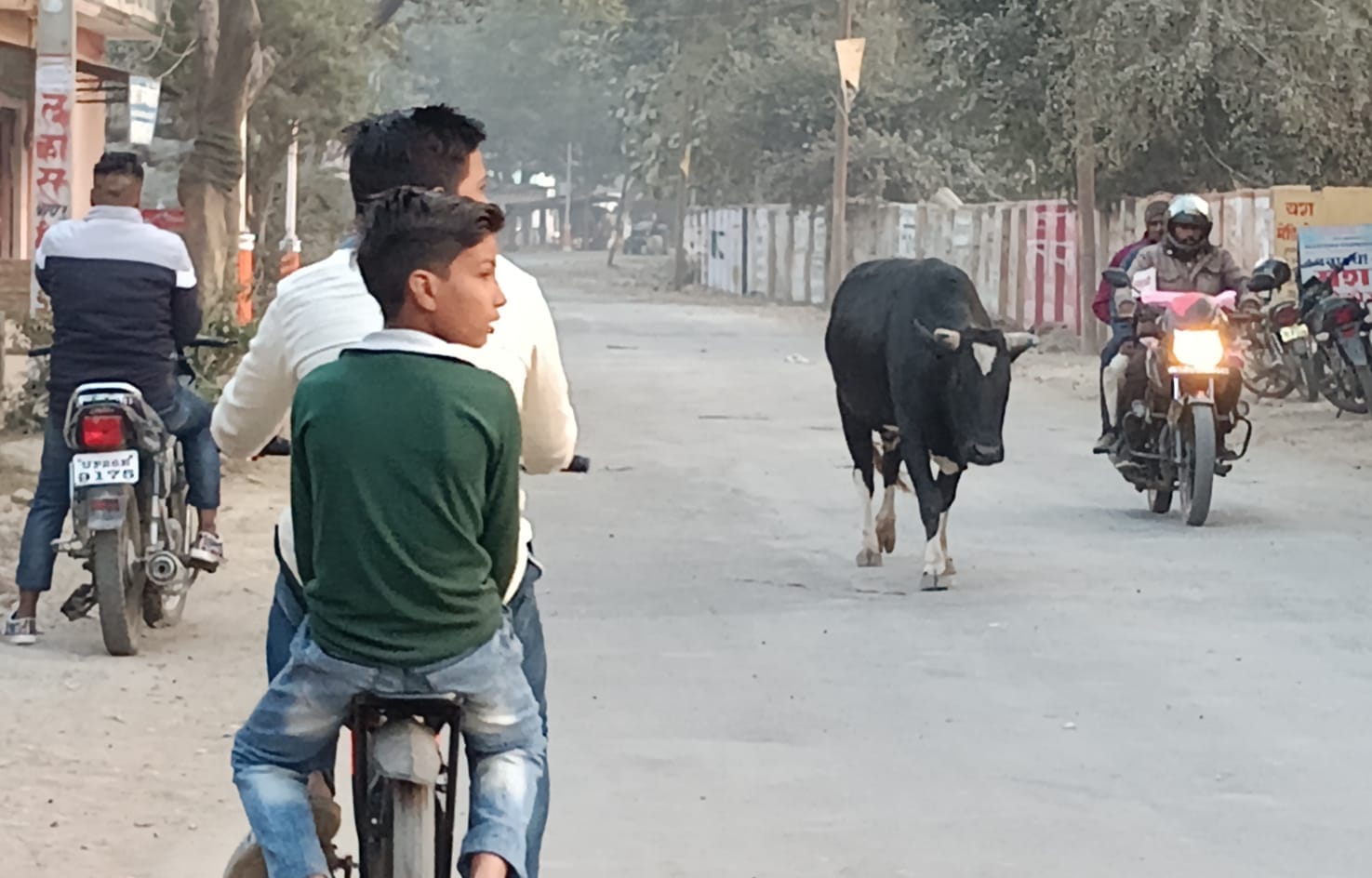 मंडी में विचरण करते छुटटा पशु । संवाद