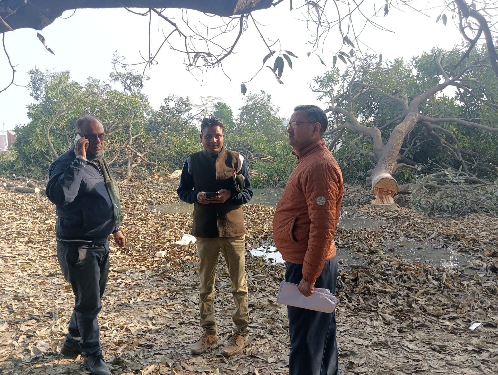 बाग में काटे गए पेड़ । संवाद