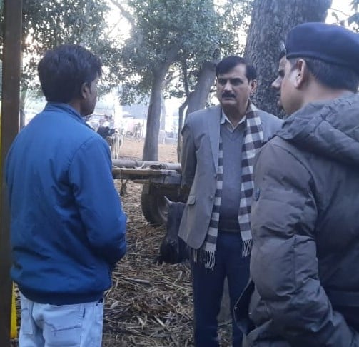 संपूर्णानगर के विशेनपुरी में बने गोवंश आश्रय केंद्र में मौजूद गोवंश। संवाद संपूर्णानगर के विशेनपुरी में बने गोवंश आश्रय केंद्र में मौजूद गोवंश। संवाद