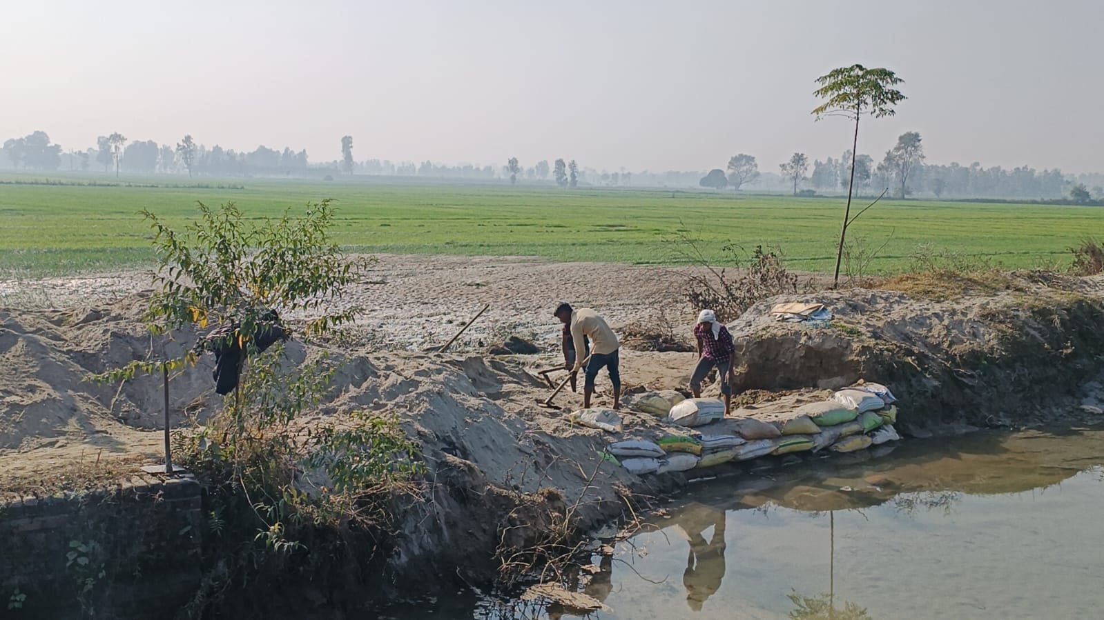 रजवाहा नहर फटने से फसलों में भरा पानी । संवाद