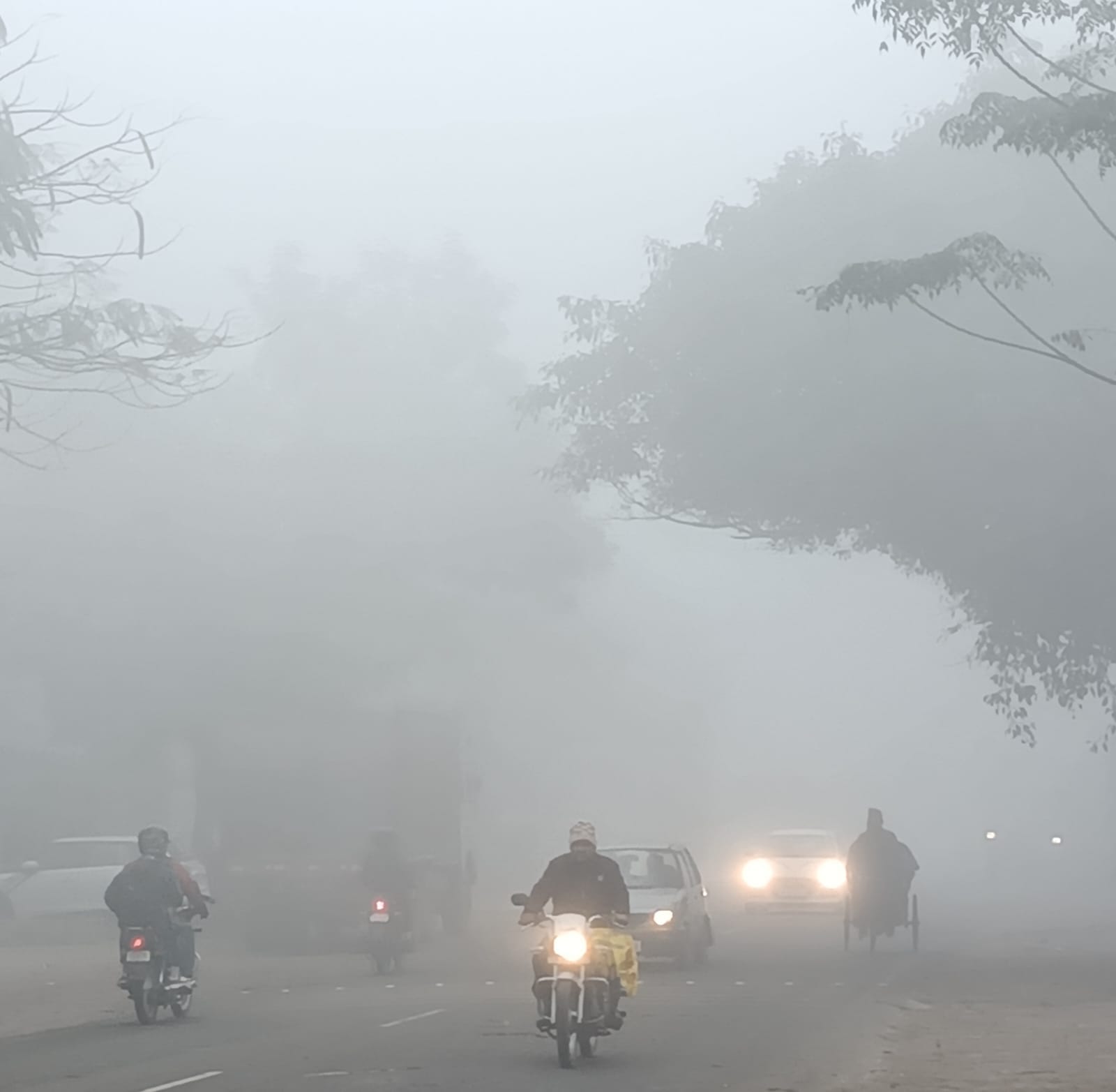 आसमान में छाये धने कोहरे के चलते वाहनो की हैंड लाइट जलाकर गुजरते वाहन । संवाद