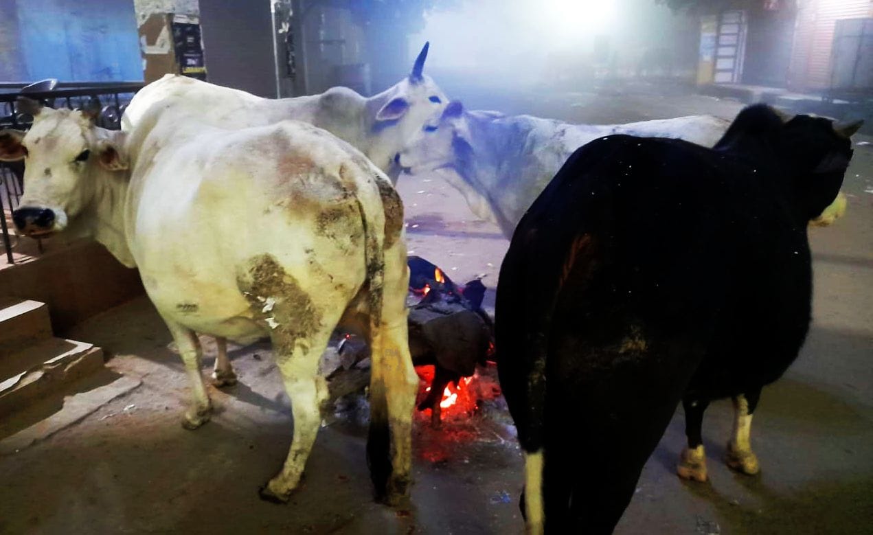 कोहरे में लाइट जलाकर निकलता स्कूल वाहन । संवाद