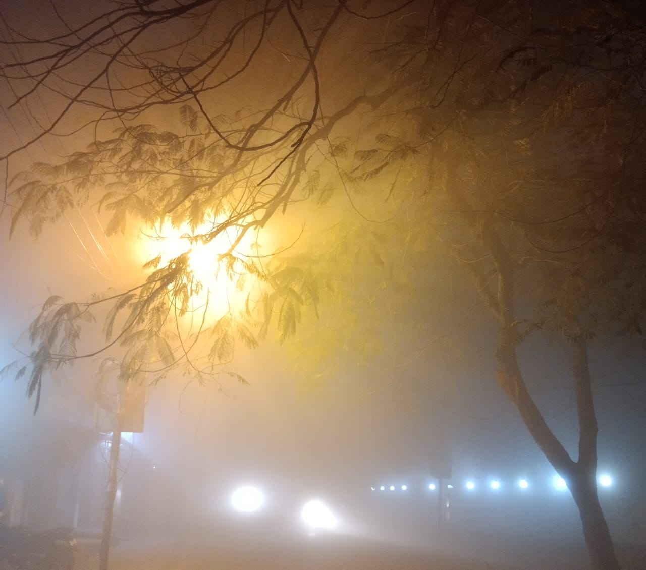 शुक्रवार की सुबह कोहरे व सर्दी से बचाव कर जाता राहागीर । संवाद