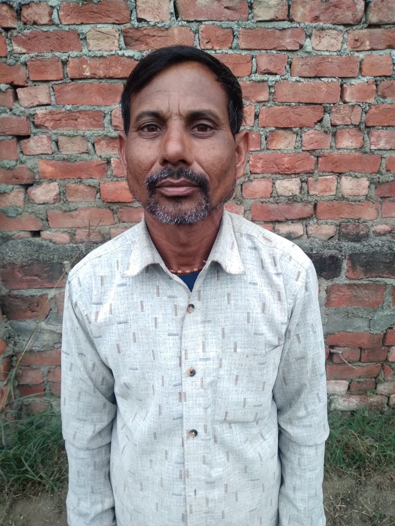 खेत में लहराती गेंहू की फसल । संवाद