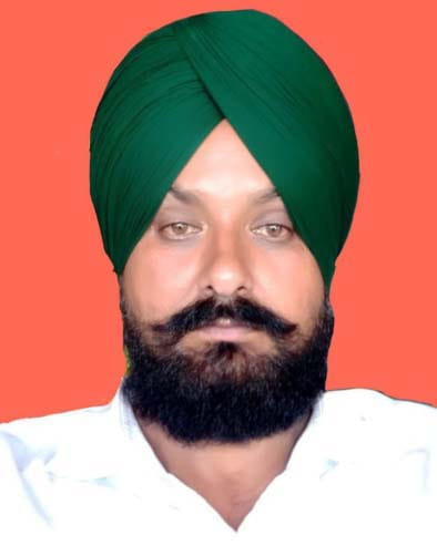 खेत में लहराती गेंहू की फसल । संवाद