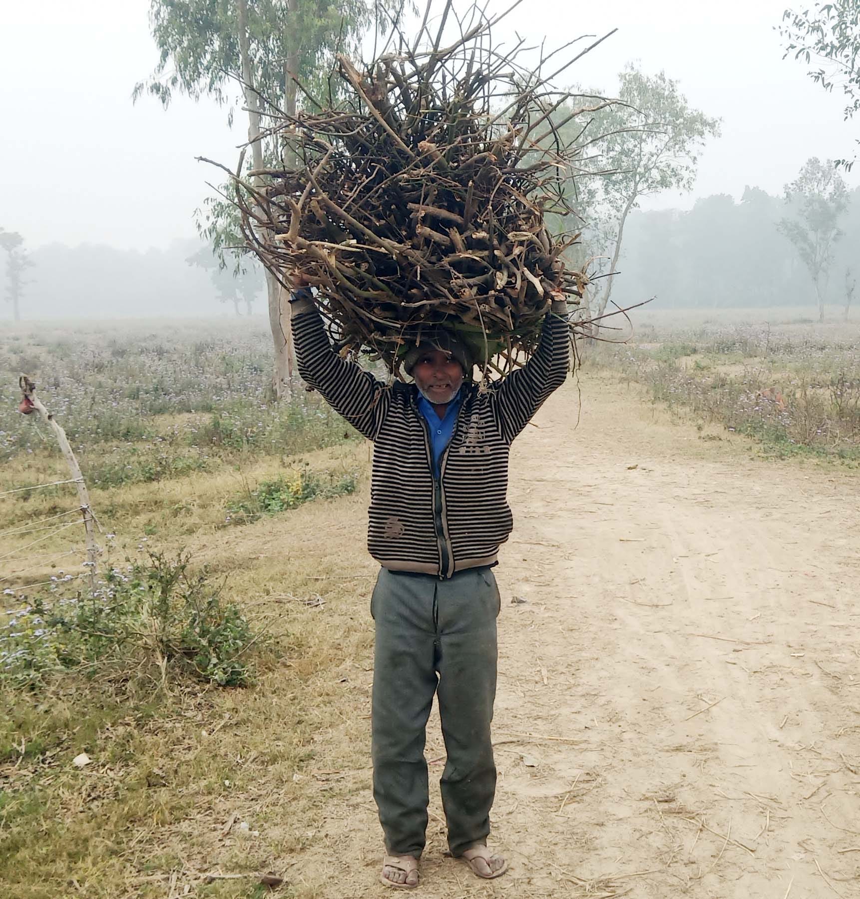 जंगल किनारे फसल की रखवाली कर रहे गजराज। संवाद