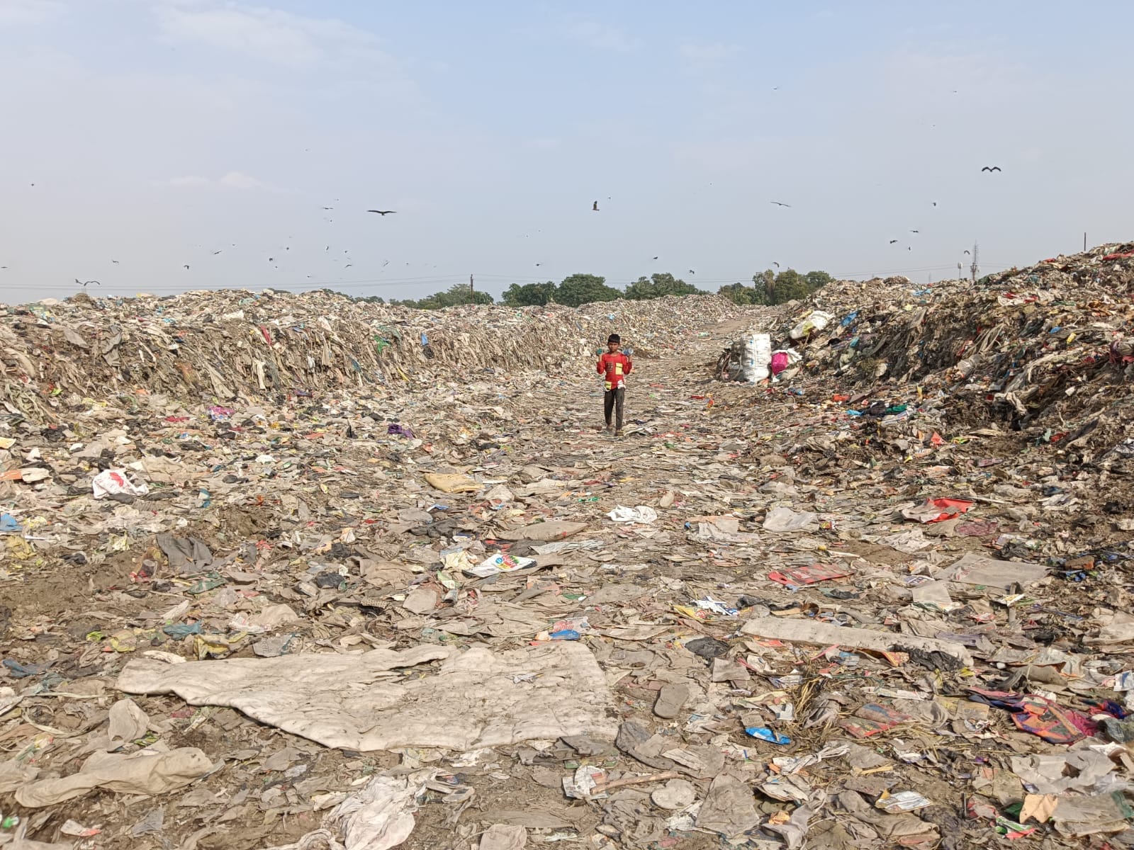 शहर के चारखंभा पर सीवर लाइन के खोदी गई सड़क में फंसा नगर निगम का टैंकर व किनारे से निकलने का प्