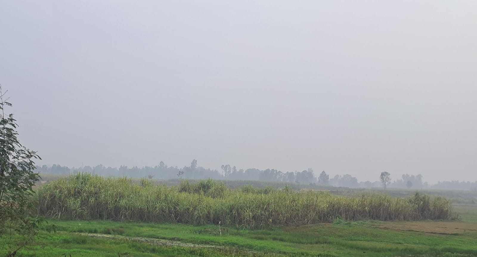गांव संडा में बाधिन को देखने को लगी भीड़ व मौके पर मौजूद एसडीएम । संवाद गांव संडा में बाधिन को देखने को लगी भीड़ व मौके पर मौजूद एसडीएम । संवाद