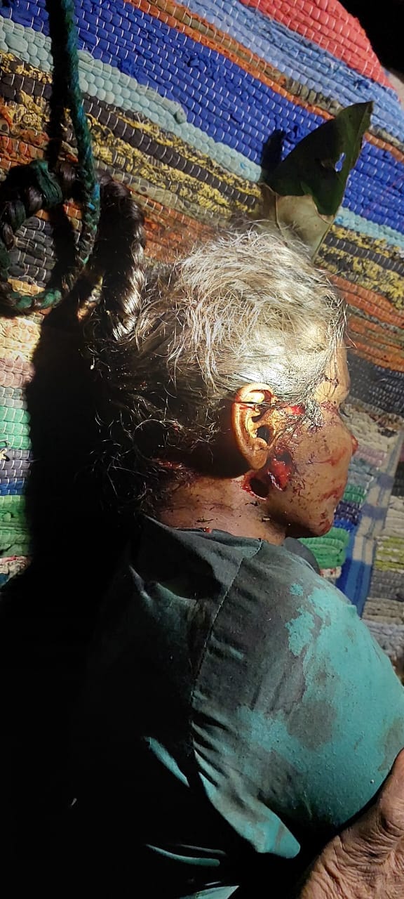 ॣबजनौर में मामले की जानकारी लेते वनाधिकारी। ॣबजनौर में मामले की जानकारी लेते वनाधिकारी।