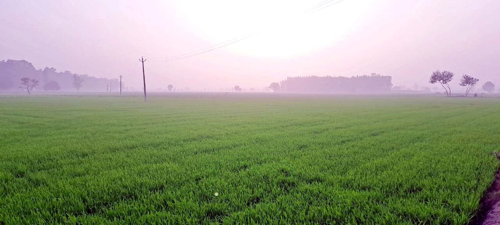 हिट एंड रन कानून के विरोध में धरने पर बैठे ड्राइवर। स्वयं हिट एंड रन कानून के विरोध में धरने पर बैठे ड्राइवर। स्वयं