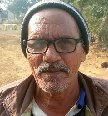 अंदावा गांव स्थित अमरूद की बाग। संवाद अंदावा गांव स्थित अमरूद की बाग। संवाद