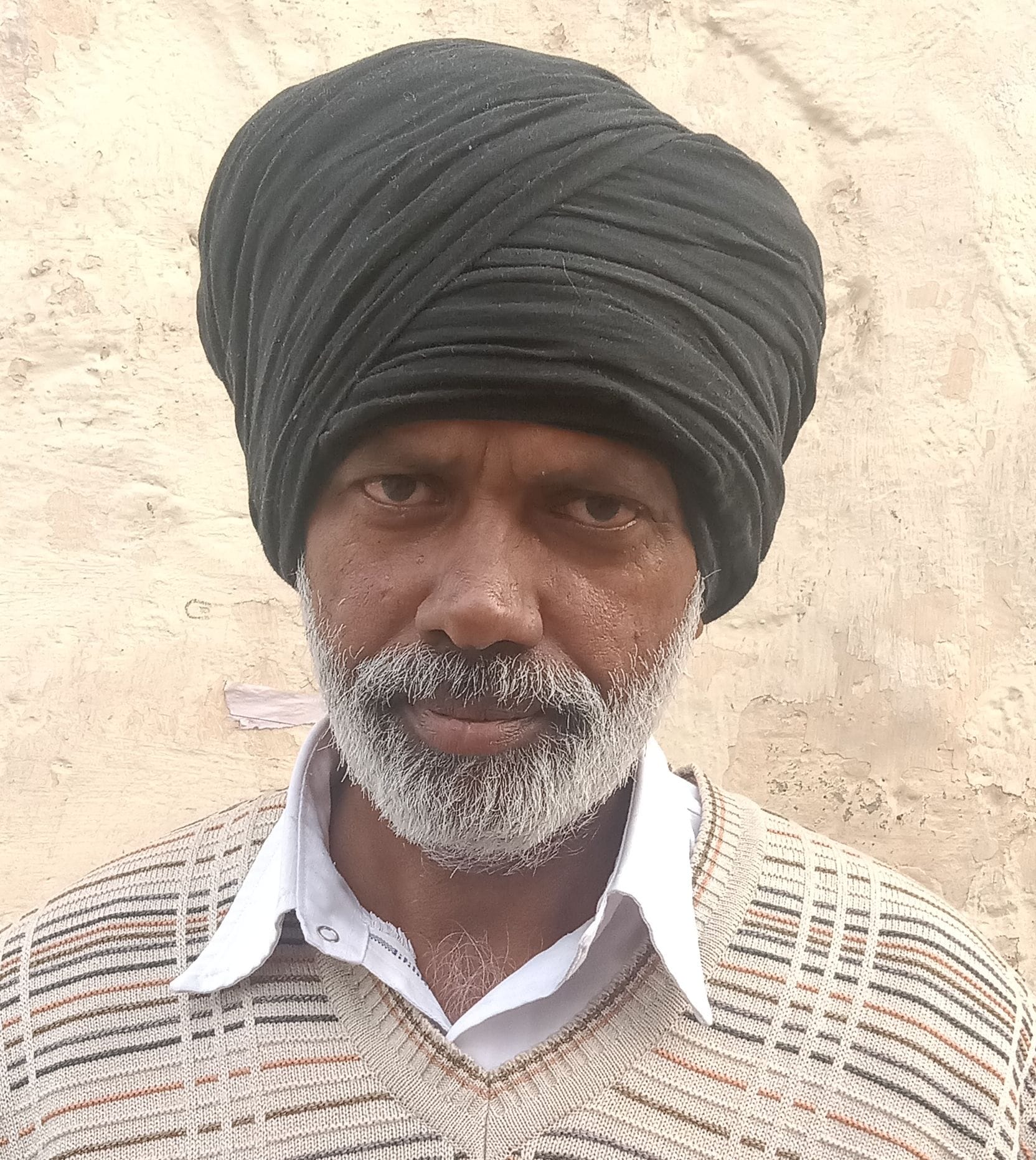 खेतों में खड़ी सरसों की फसल। खेतों में खड़ी सरसों की फसल।