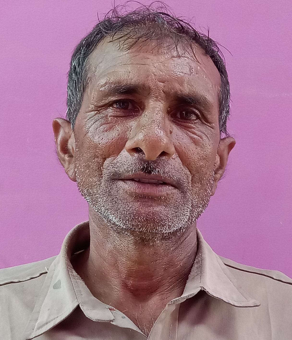खेतों में खड़ी सरसों की फसल। खेतों में खड़ी सरसों की फसल।