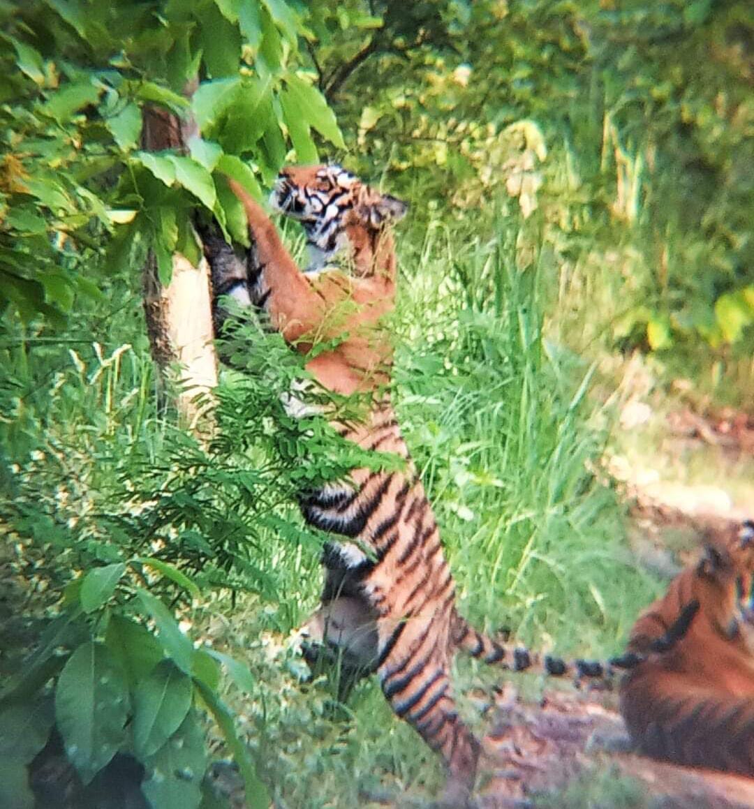 चूका बीच में बनी वाटर हट । संवाद चूका बीच में बनी वाटर हट । संवाद