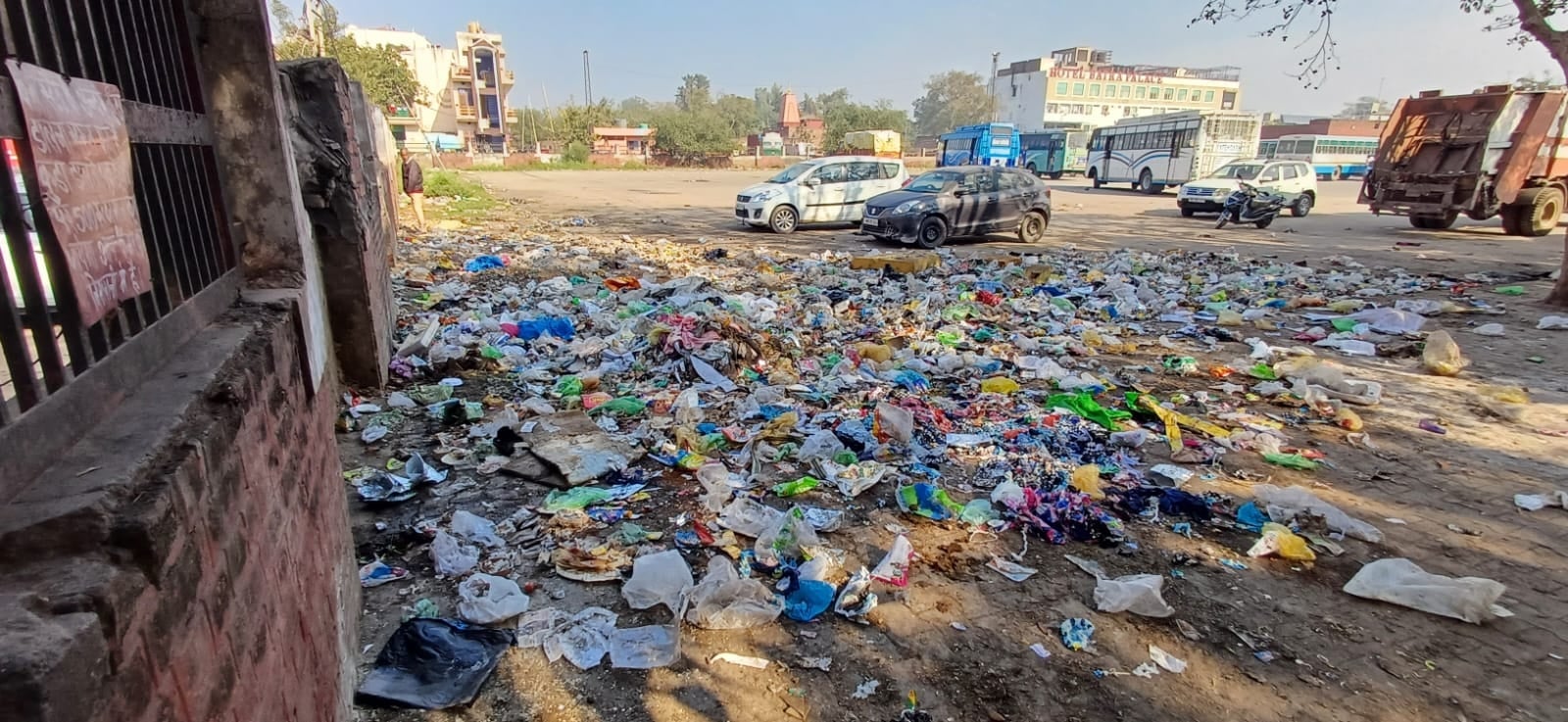 सुभाष पार्क की दीवार के साथ पड़ी झाडिंयां। संवाद