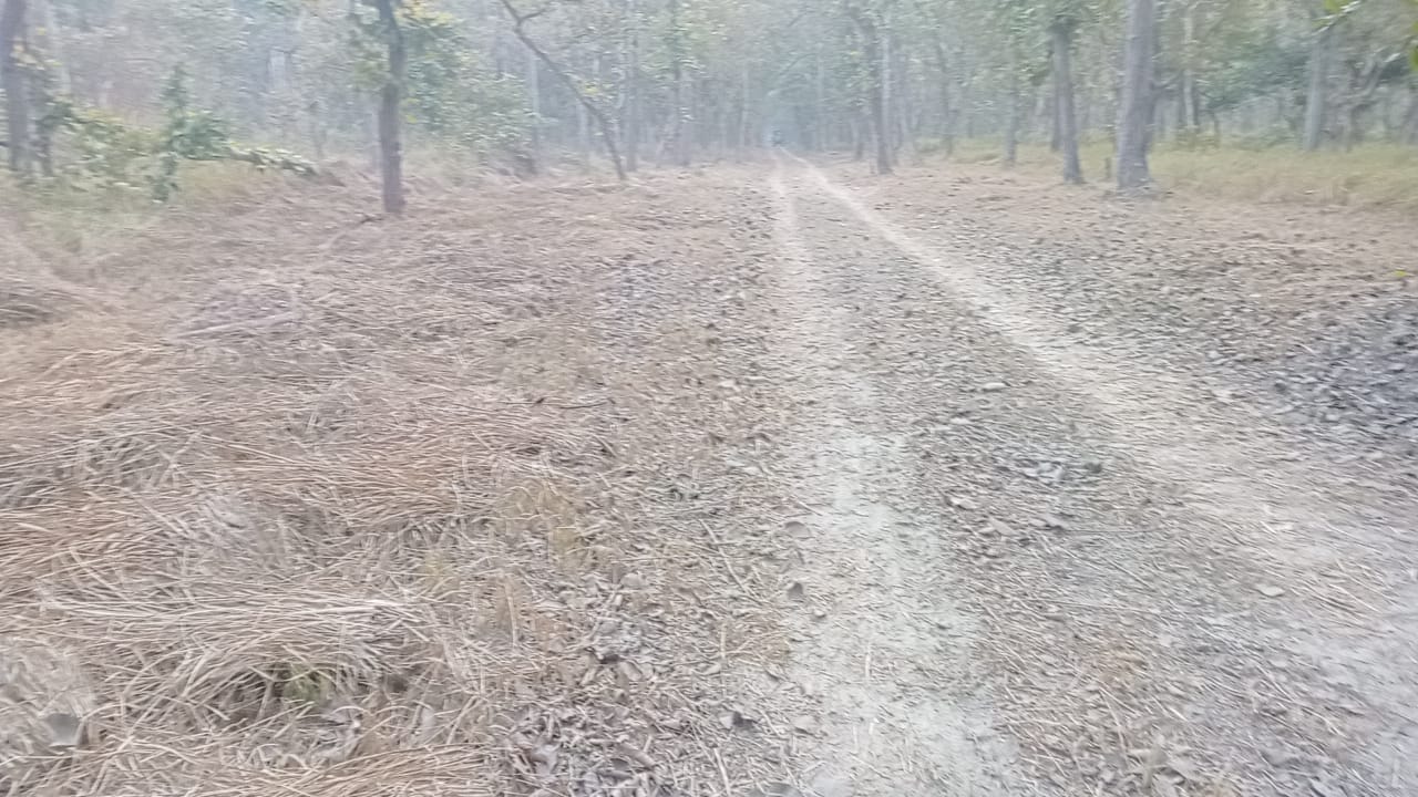 मौके पर पडा जूता । संवाद मौके पर पडा जूता । संवाद