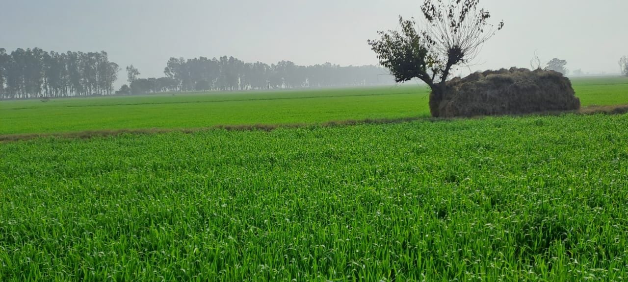 31जेएनडी15 : सुबह साढ़े दस बजे हुई हल्की बारिश के बीच से गुजरते लोग व वाहन। संवाद 31जेएनडी15 : सुबह साढ़े दस बजे हुई हल्की बारिश के बीच से गुजरते लोग व वाहन। संवाद