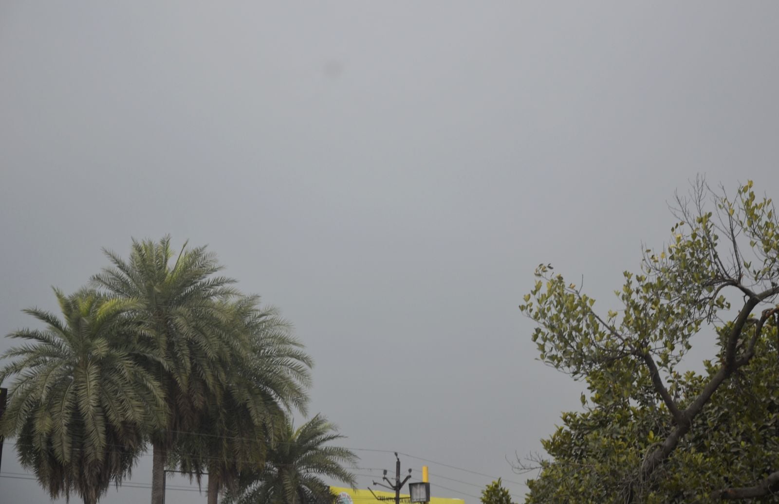 बारिश के बाद रोडवेज बस स्टैंड के सामने सड़क पर फैली कीचड़। संवाद बारिश के बाद रोडवेज बस स्टैंड के सामने सड़क पर फैली कीचड़। संवाद
