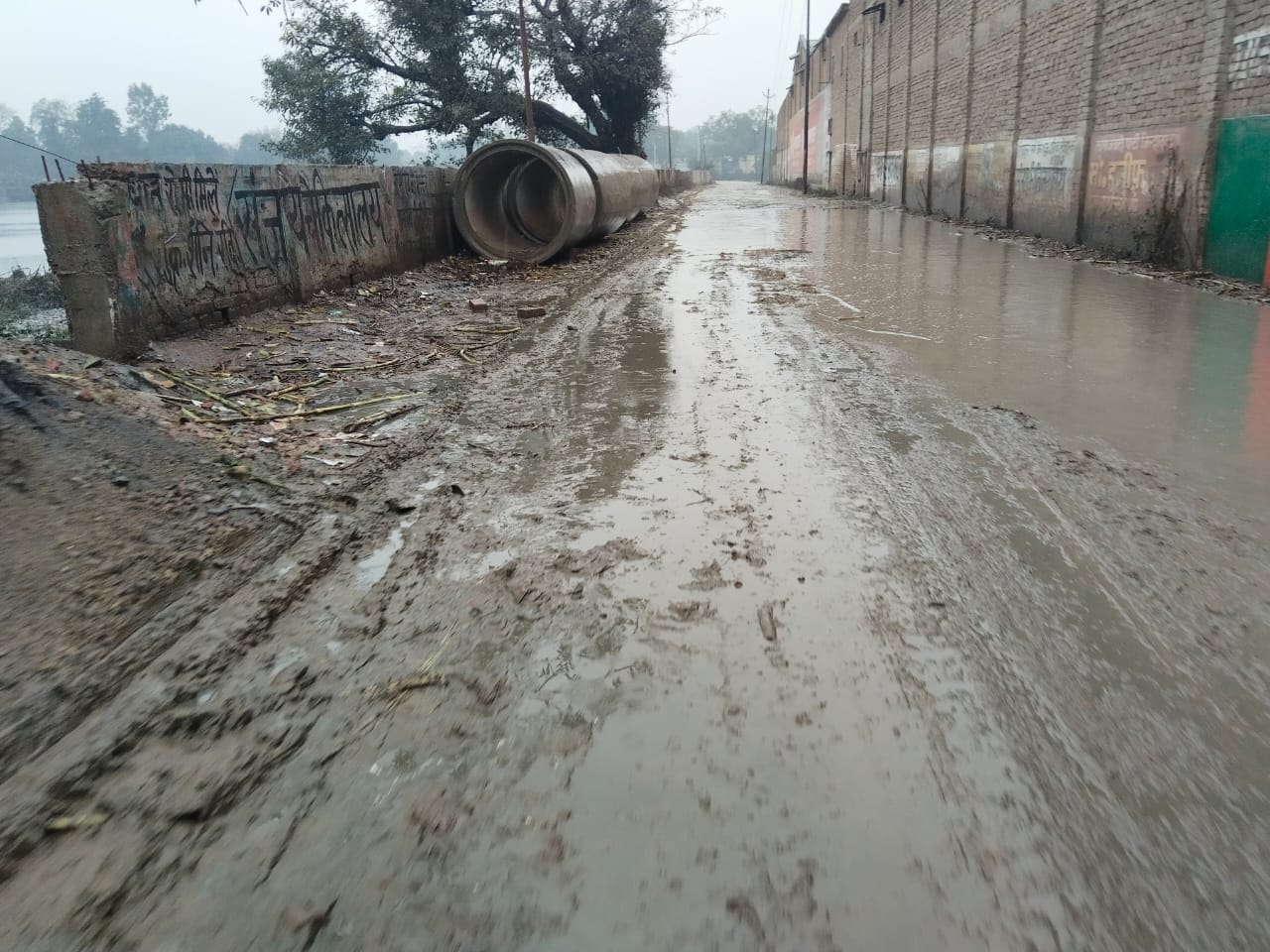 बारिश में छाता लगाकर स्कूल से लौटते बच्चे । संवाद