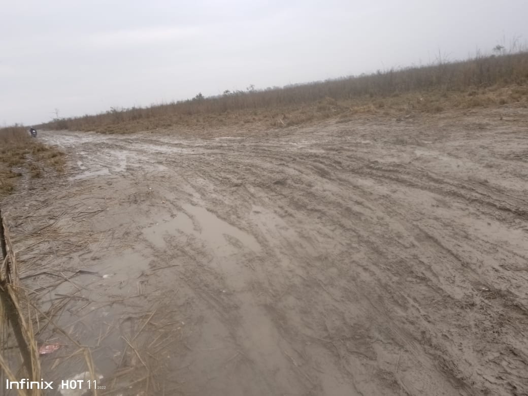 बारिश में छाता लगाकर स्कूल से लौटते बच्चे । संवाद