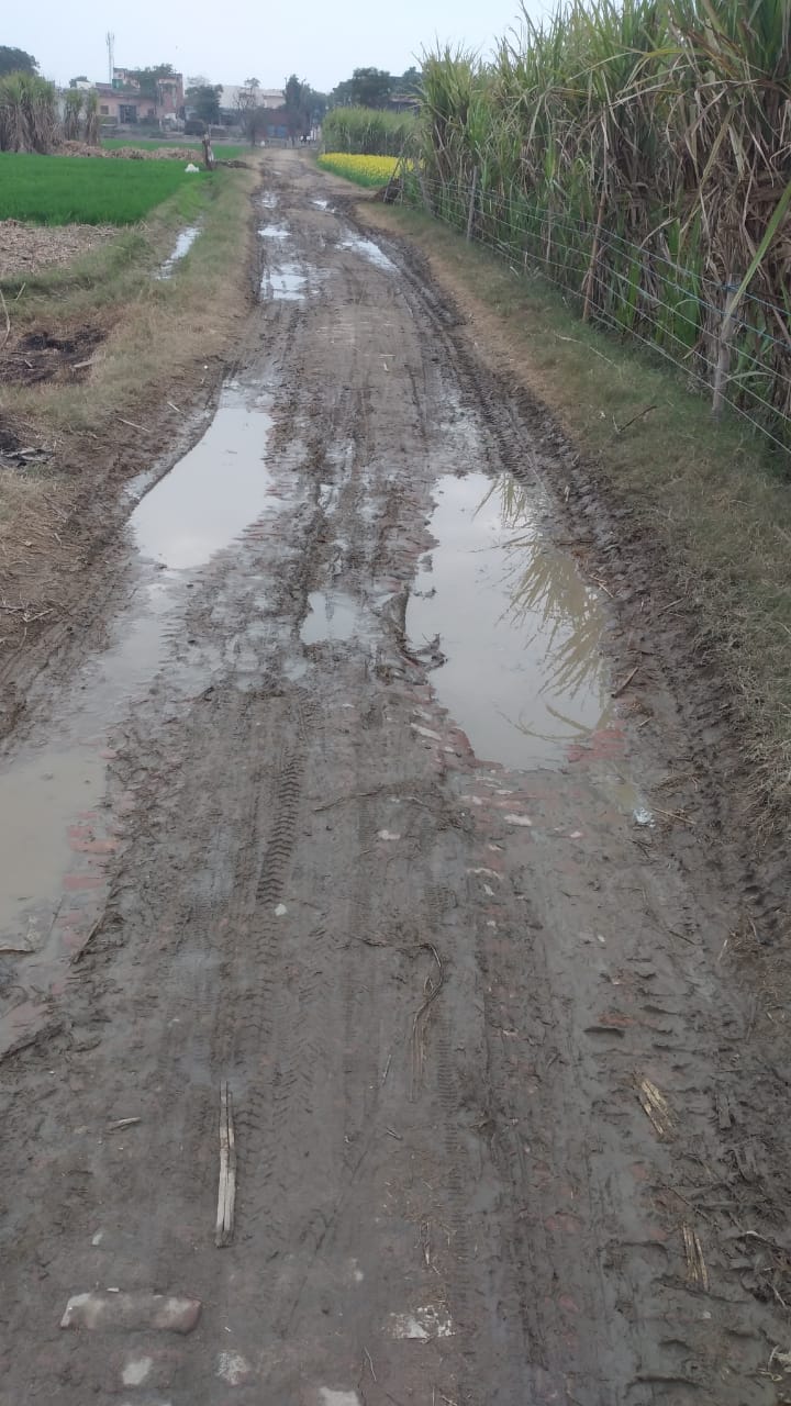 जर्जर हालत में घिटौरा से गोठरा संपर्क मार्ग जर्जर हालत में घिटौरा से गोठरा संपर्क मार्ग
