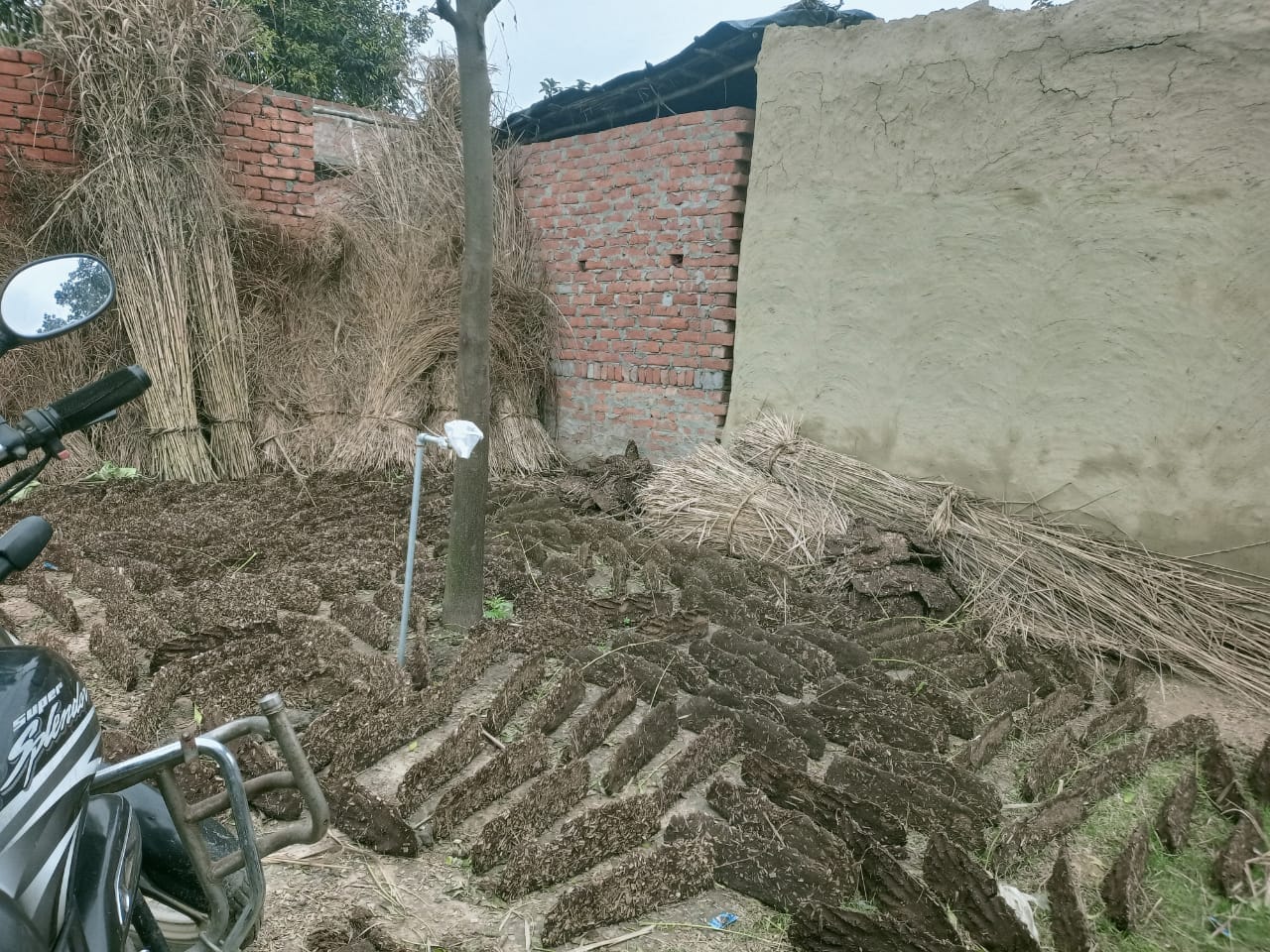इसी झोपड़ी के पास पीटा गया था मृतक सोमसरन संवाद इसी झोपड़ी के पास पीटा गया था मृतक सोमसरन संवाद