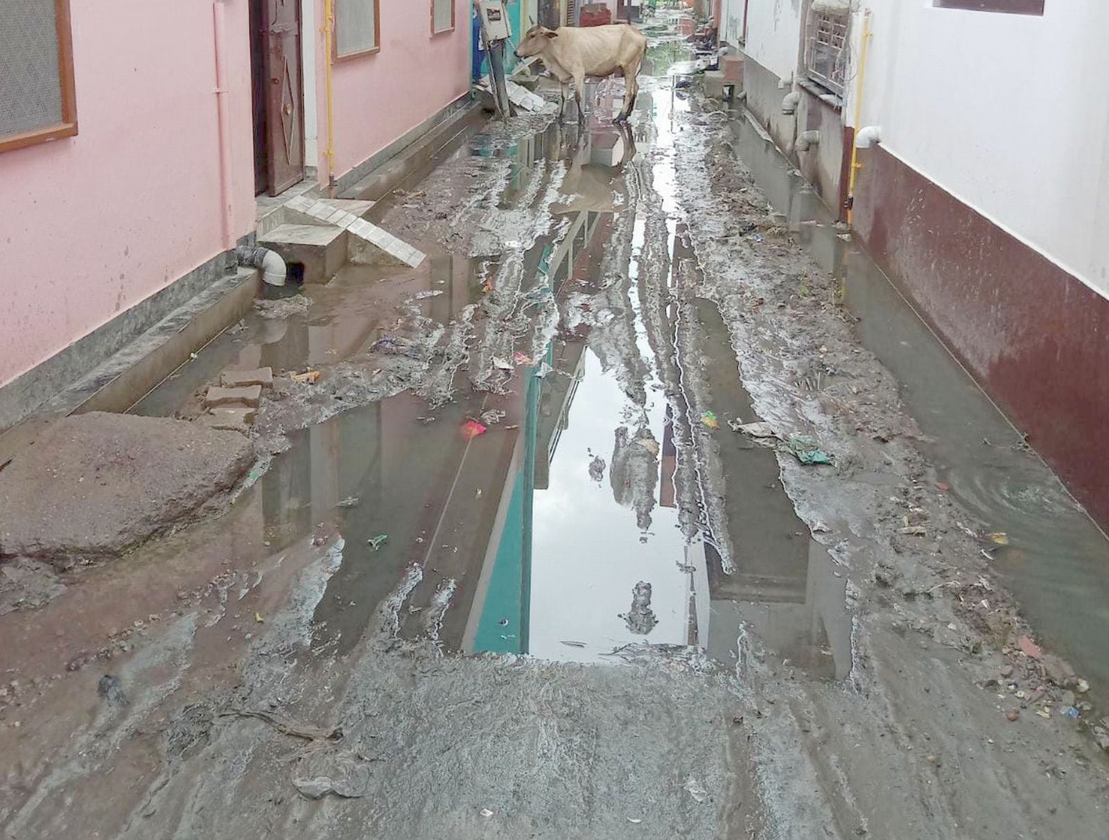 जवाहरपुरी में टूटी पड़ी सड़क। संवाद जवाहरपुरी में टूटी पड़ी सड़क। संवाद