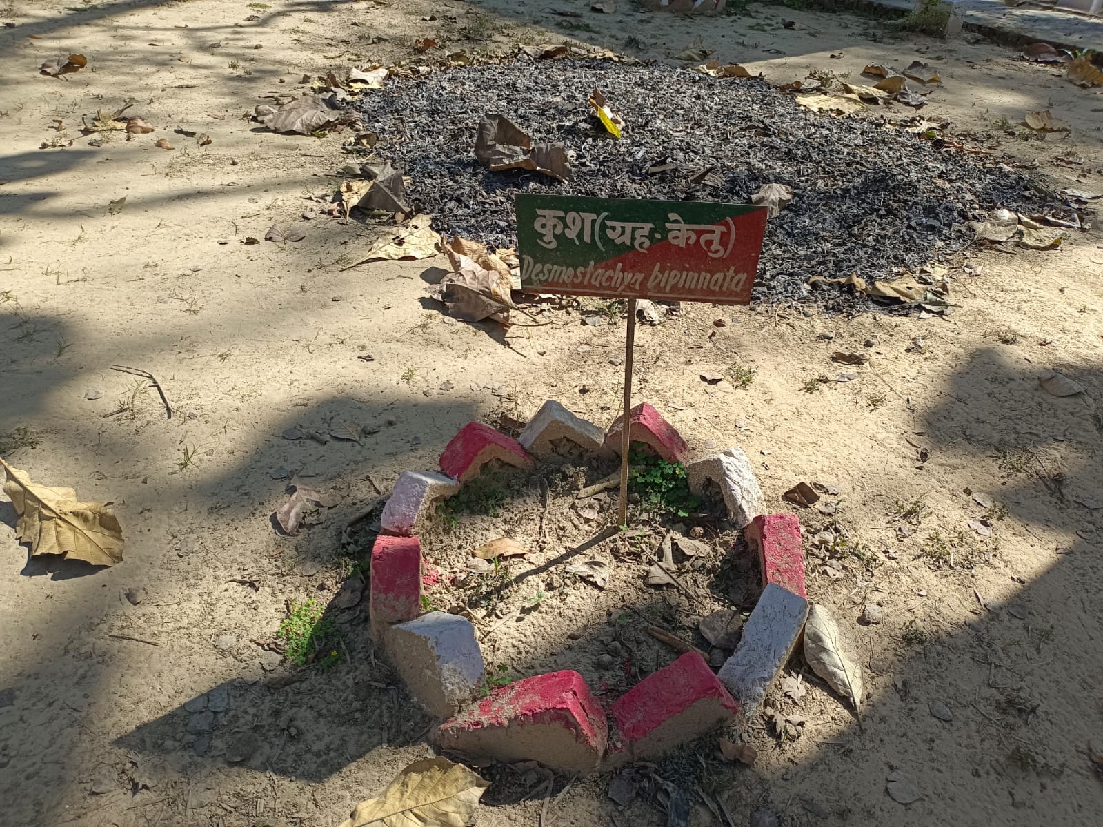 कलेक्ट्रेट स्थित स्वच्छता वाटिका में लगा कूड़े का ढ़ेर । संवाद कलेक्ट्रेट स्थित स्वच्छता वाटिका में लगा कूड़े का ढ़ेर । संवाद