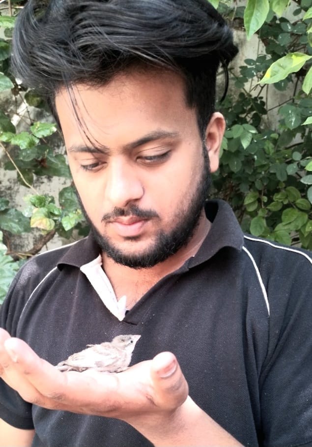 स्योहारा में शेख अकबर हुसैन के घर पर बैठी गौरेया। स्योहारा में शेख अकबर हुसैन के घर पर बैठी गौरेया।
